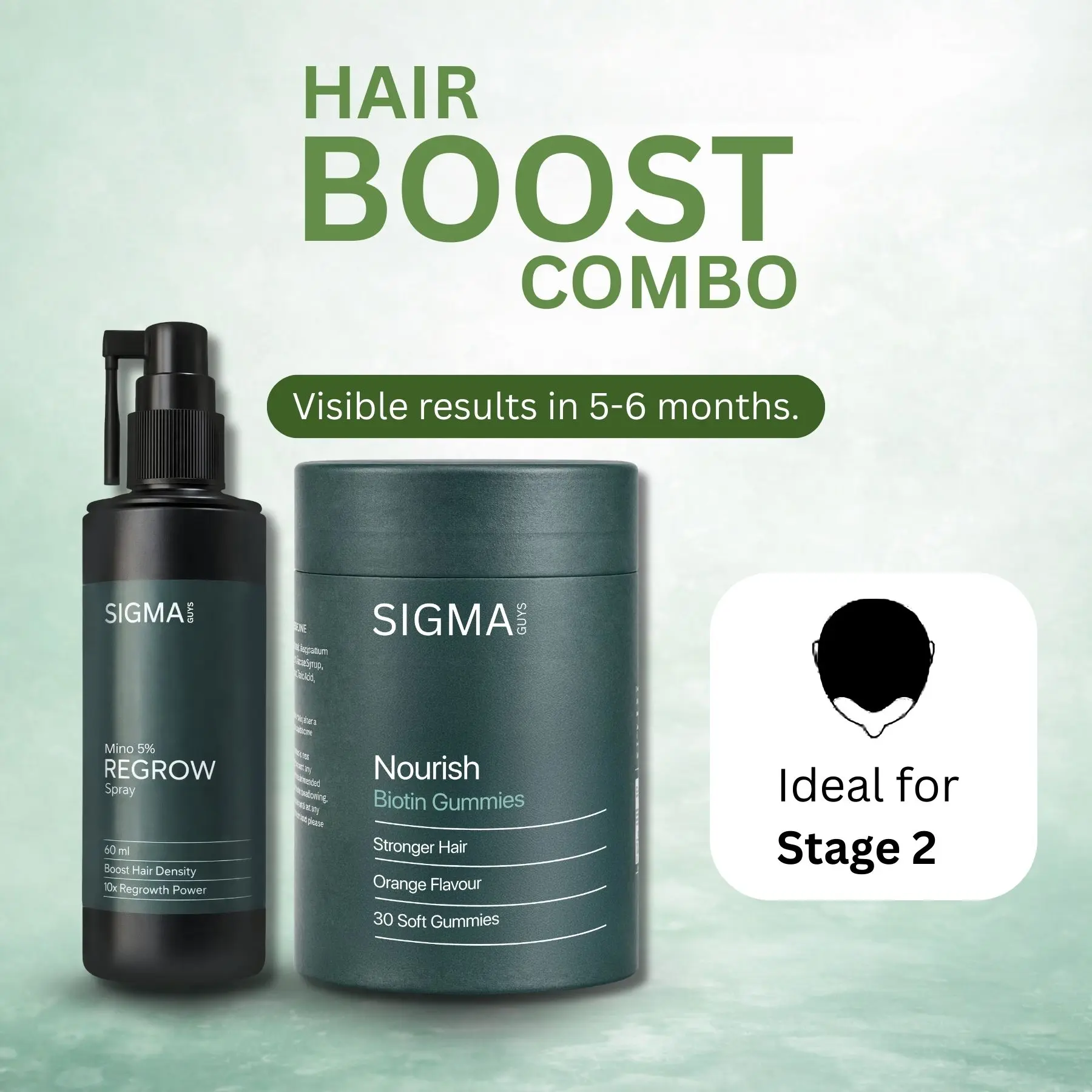 Stage 2 : Hair fall solution