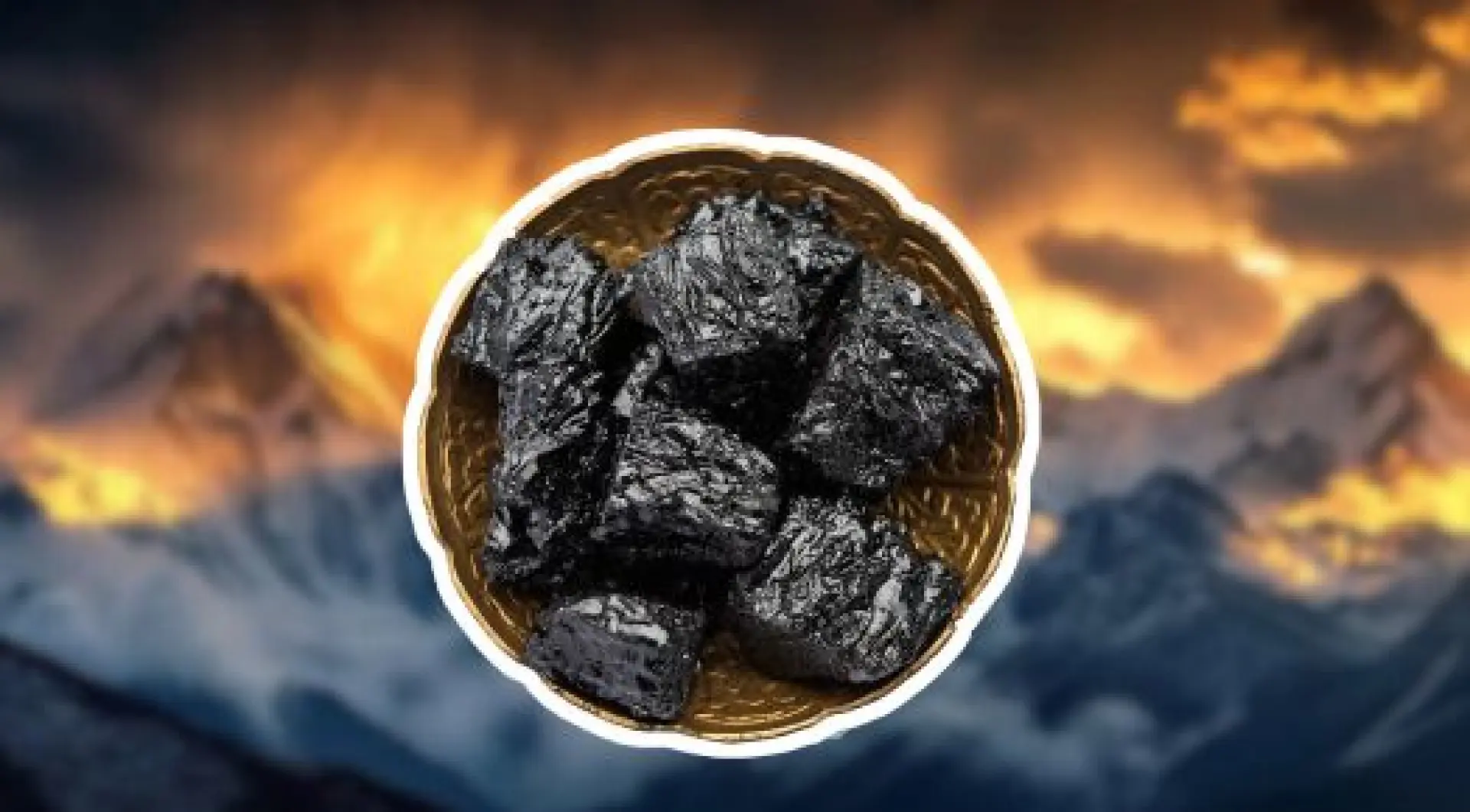 Pure Himalayan Shilajit in a Modern Format