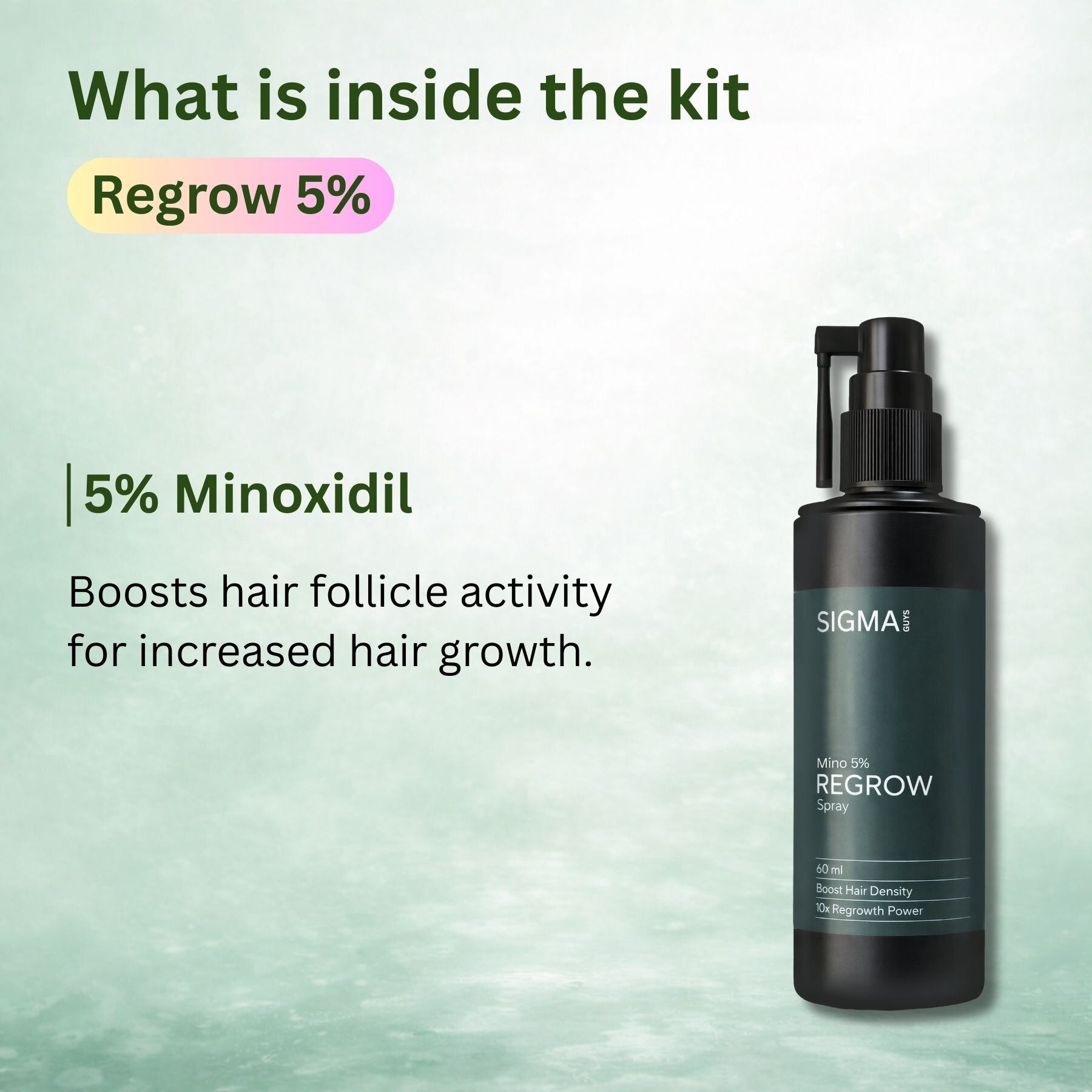 Stage 2 : Hair fall solution