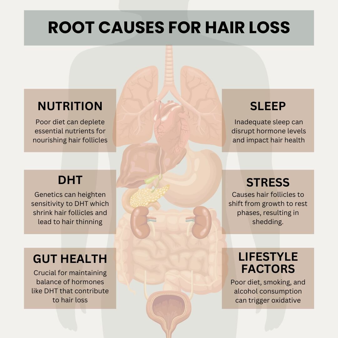 Stage 4 : Hair fall solution
