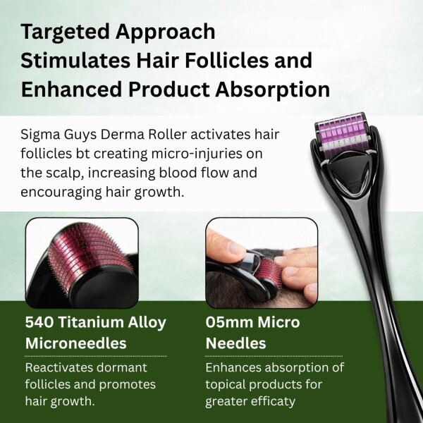 Stage 4 : Hair fall solution