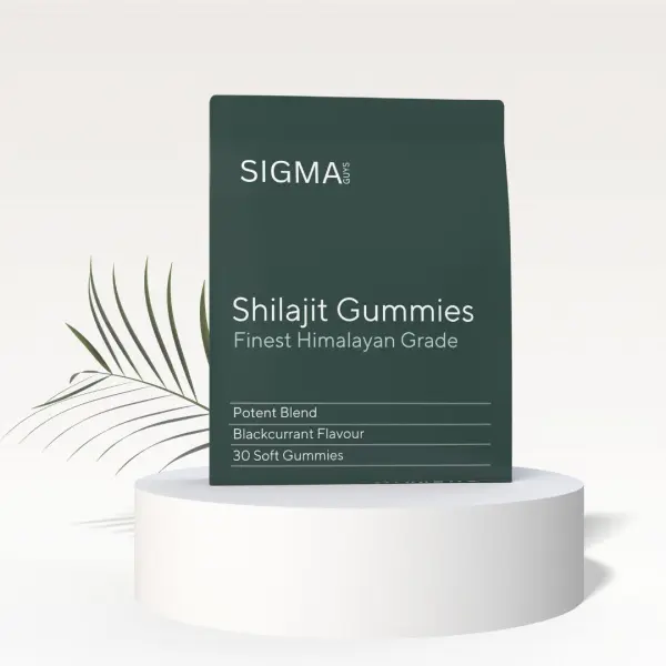 Shilajit Gummies (Pack of 30)
