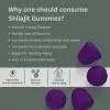 Shilajit Gummies (Pack of 30)