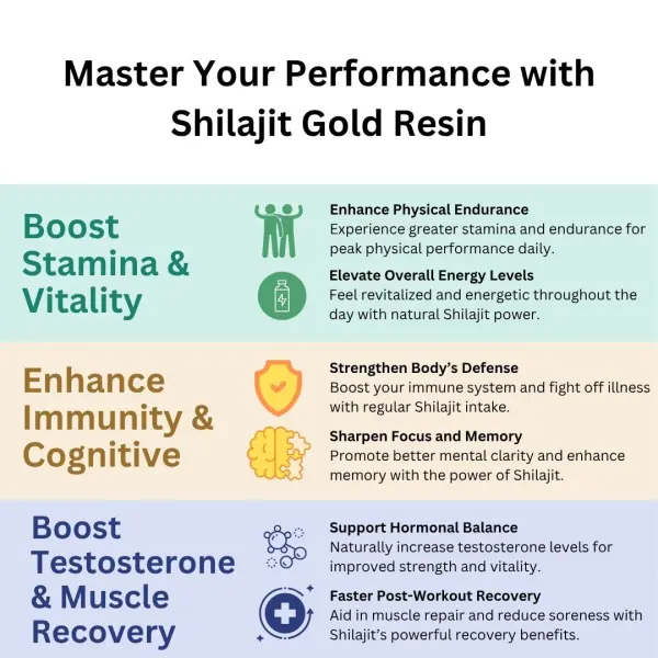 Shilajit Gold Resin (Pack of 1)