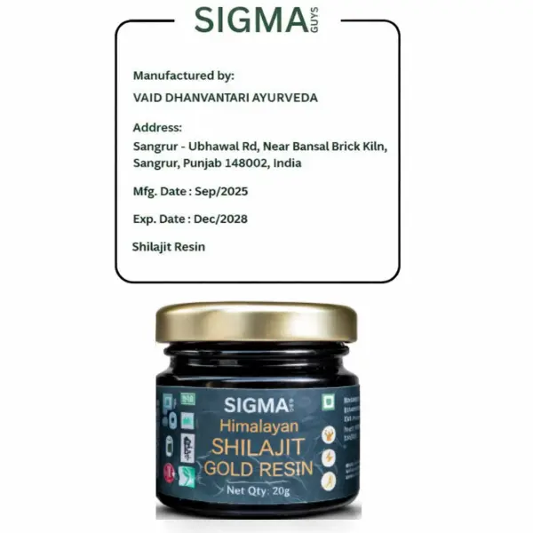 Shilajit Gold Resin (Pack of 1)