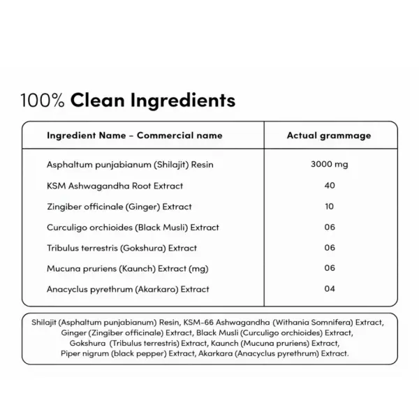 Shilajit Gummies