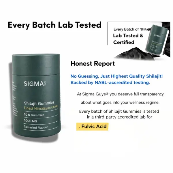 Shilajit Gummies (Pack of 30)