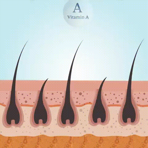 2.gif