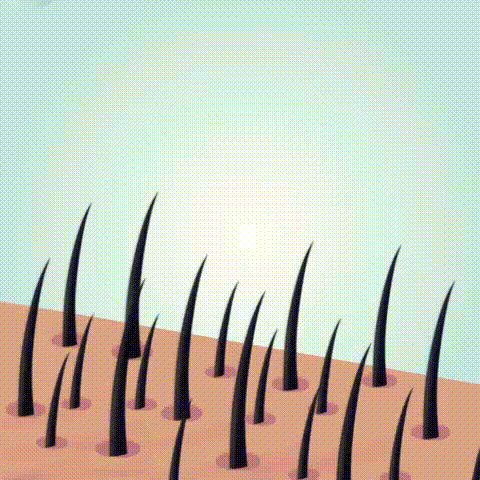 3.gif