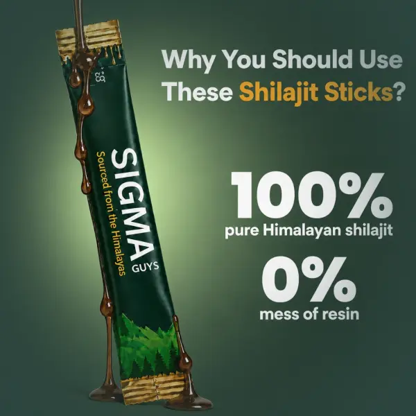 Shilajit Gold Honey Sticks