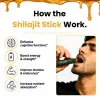 Shilajit Gold Honey Sticks
