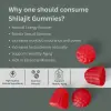 Shilajit Gummies